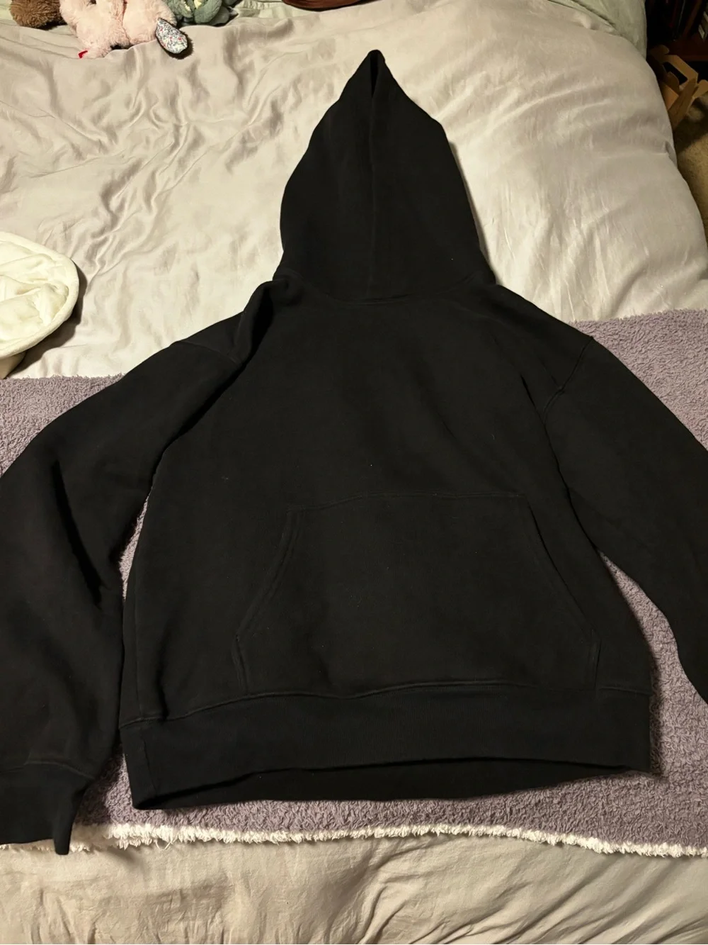 Aritzia hoodie